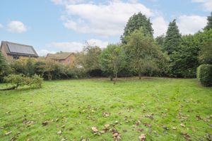 Photo 90- click for photo gallery